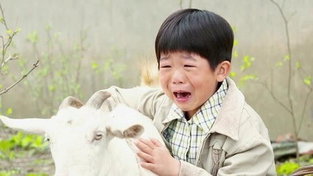 Still image for 俺娘田小草 season 1 episode 24: Episode 24 Still image for 俺娘田小草 season 1 episode 24: Episode 24