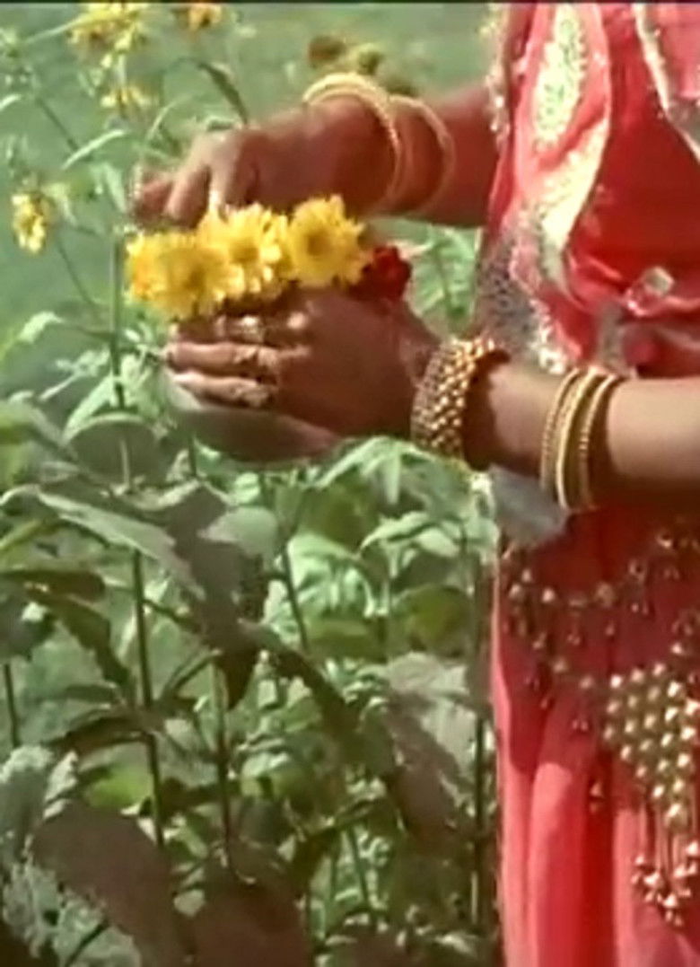 Imatge de On the Move