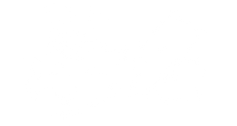 Скрытый клинок