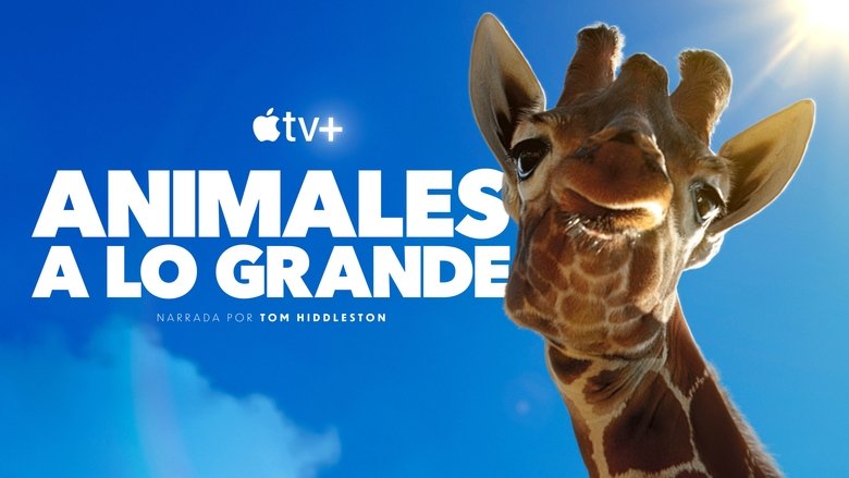 Gallery image from m1qI2VFRdjd0I13wcGSPIYMIgbX.jpg