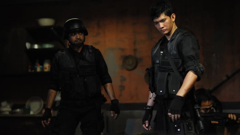 The Raid HINDI DUBBED