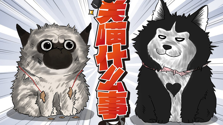 Still image for My Cat Hates Me season 1 episode 8: Poor but Ambitious Still image for My Cat Hates Me season 1 episode 8: Poor but Ambitious