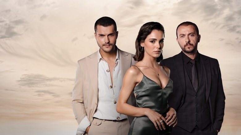 Gallery image from m2T9Bh8UDMqL9YVQjbrTOaj9WLx.jpg