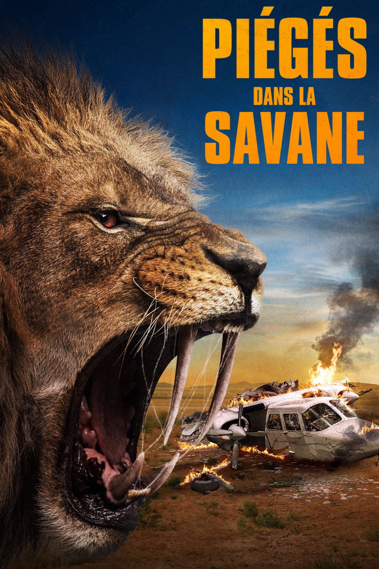 Póster la Película