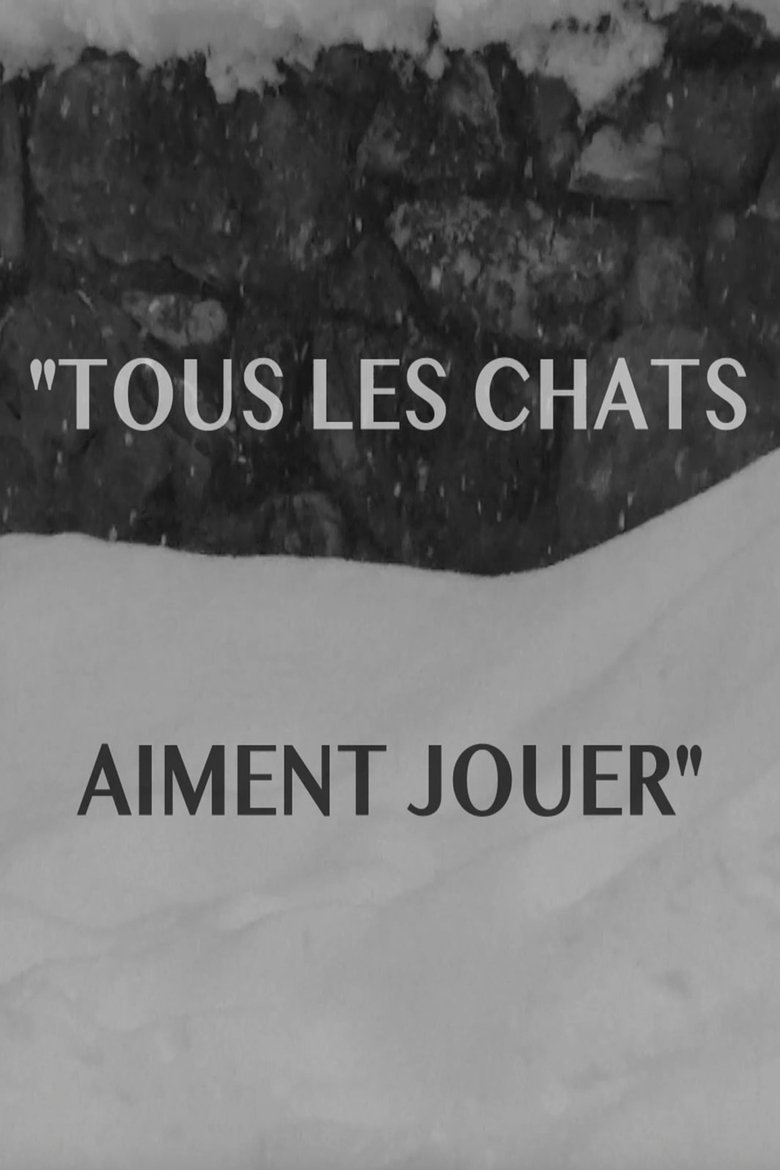 Imatge de Tous les chats aiment jouer