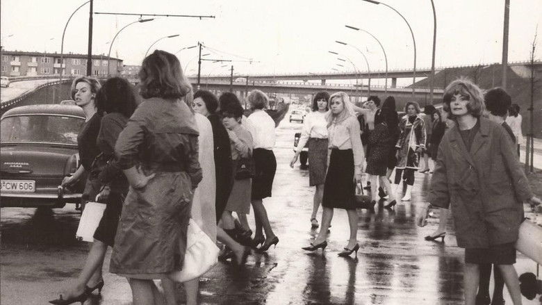 Gallery image from m4jvtCaRNGUcCEv2OCVUqqWaHPz.jpg