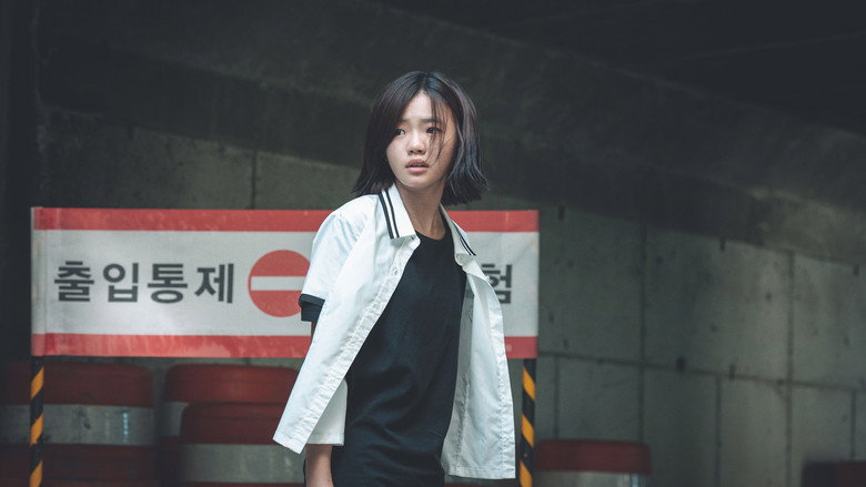 비광