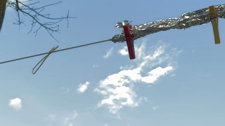 The Wind
