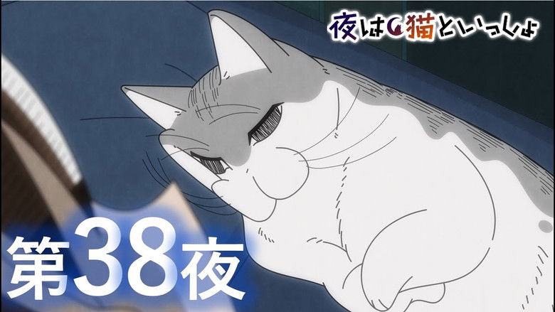 Still image for Nights with a Cat season 1 episode 38: Night 38: The Cat Was Sleeping Beside Me Before I Knew It