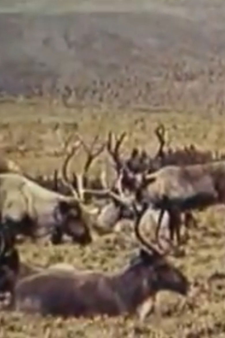 Imatge de Уральская Вишера