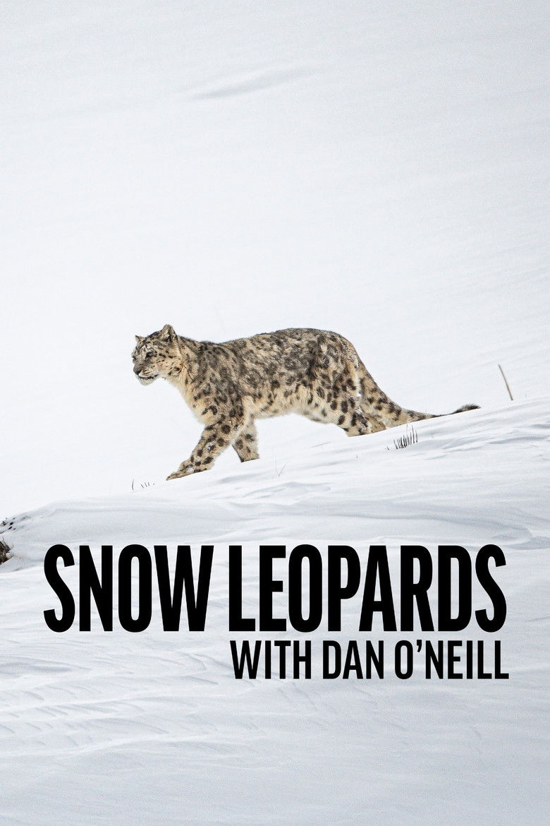 Snow Leopards with Dan O'Neill