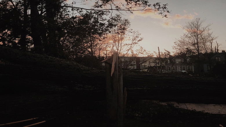 Gallery image from m7WkkM1MOfnqWIo5ClQNsfQds60.jpg