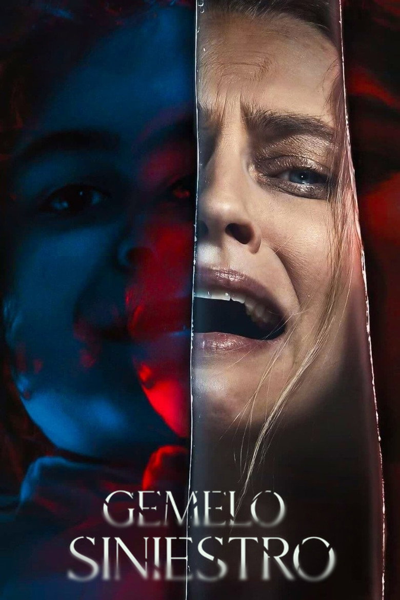 Póster la Película