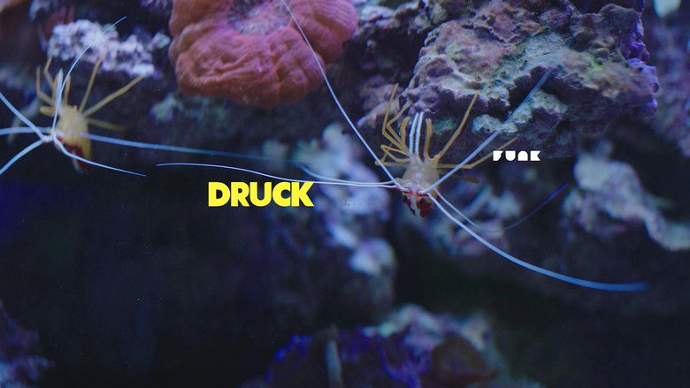 Gallery image from m8Ub29K2pLj0rDT45hcDlUSiILM.jpg