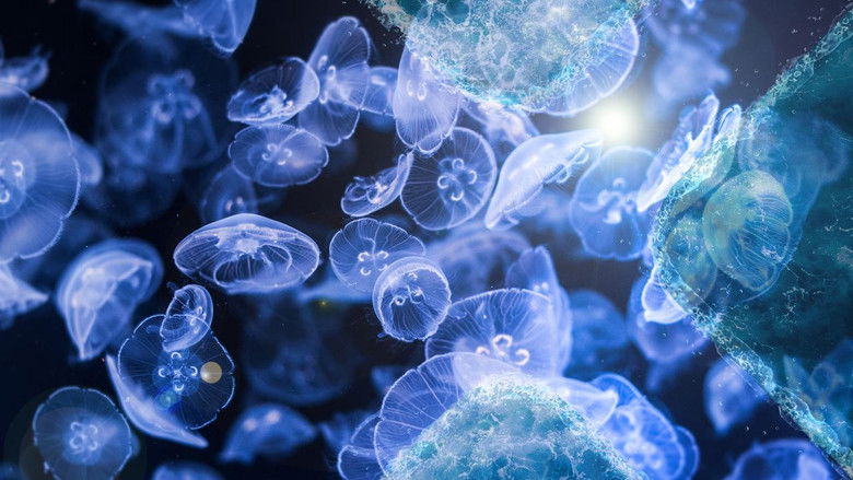 Still image for Der Schwarm - Die Doku season 1 episode 2: Episode 2