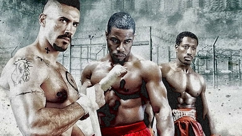 Backdrop de Undisputed Collection