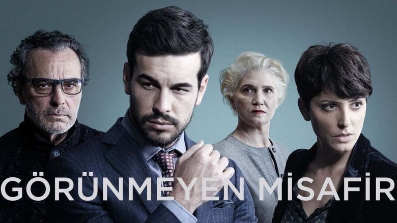 The Invisible Guest (2017)