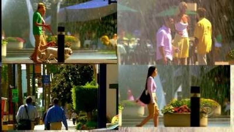 CSI: Miami: 5×2