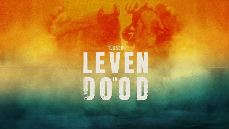 Tussen Leven en Dood (2025)