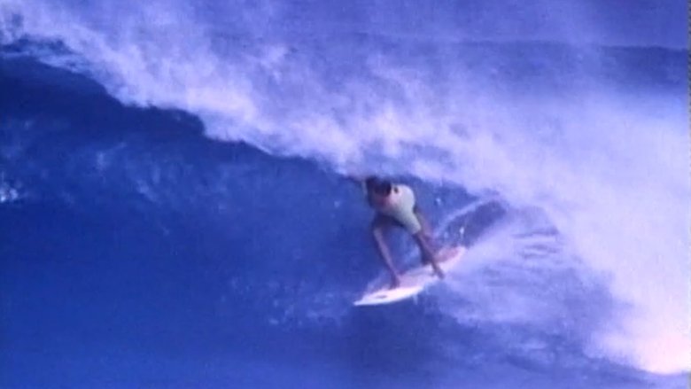 Gone Surfin' movie poster