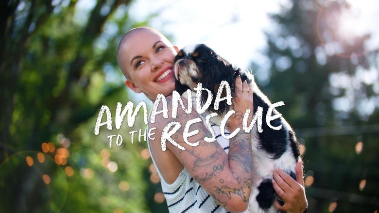 Gallery image from mAnOS24nv8IZH1Y6kcuTccvrWNg.jpg