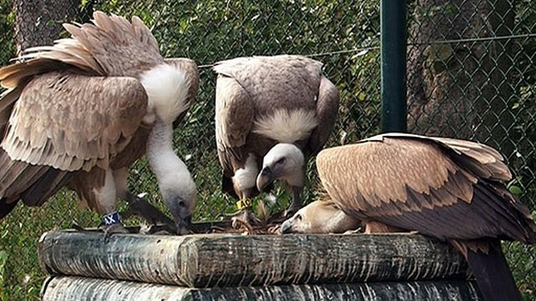 Přežili rok 2000 Sezóna 1 Epizoda 13 bombuj