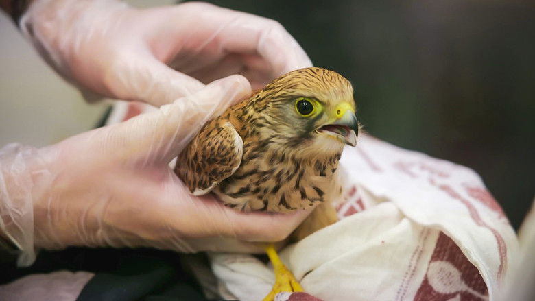 Still image for Joanna Page's Wild Life season 1 episode 13: Episode 13