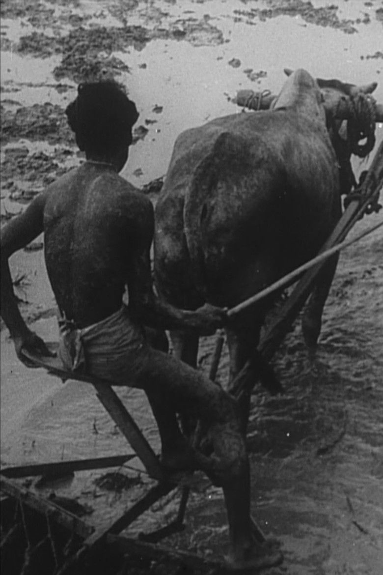 Imatge de We Have Promises to Keep