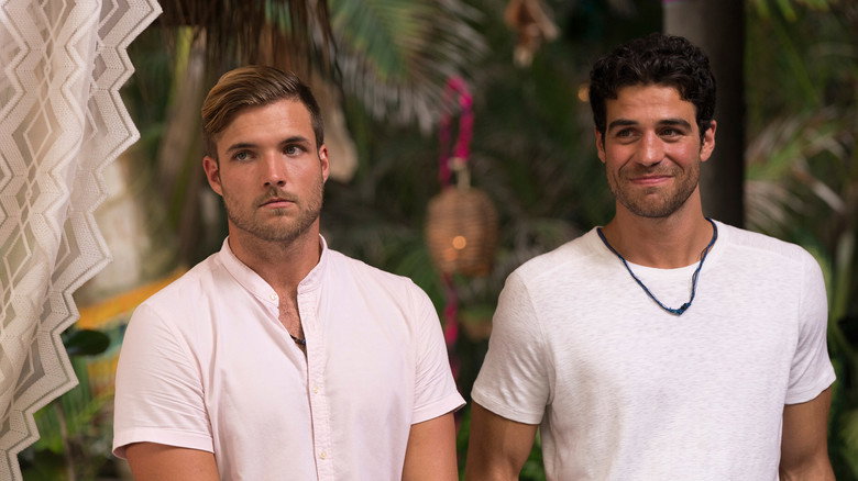 Watch Bachelor In Paradise Online Free