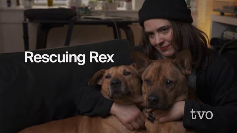 مشاهدة فيلم Rescuing Rex 2020 مترجم أون لاين بجودة عالية