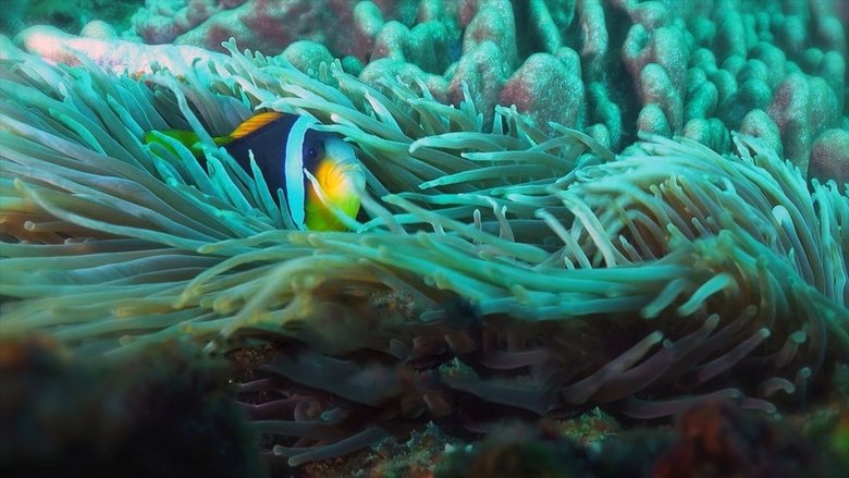 Underbara märkliga djur (2025)