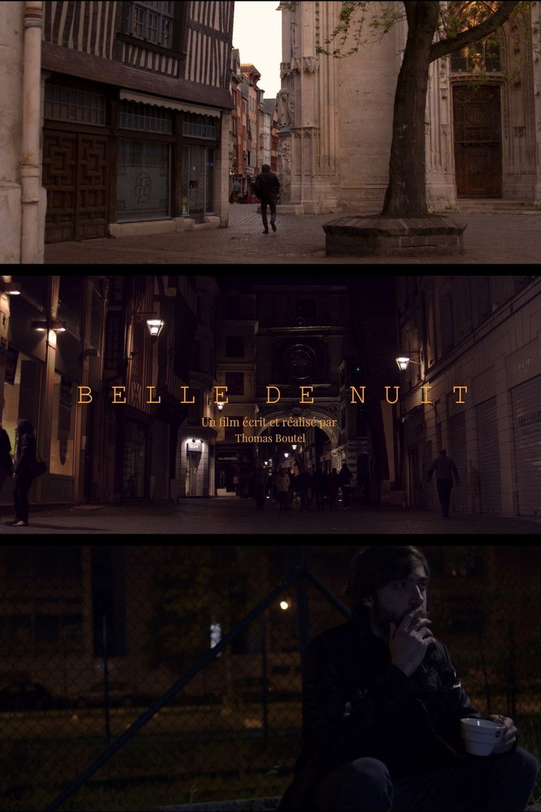 Imatge de Belle de nuit