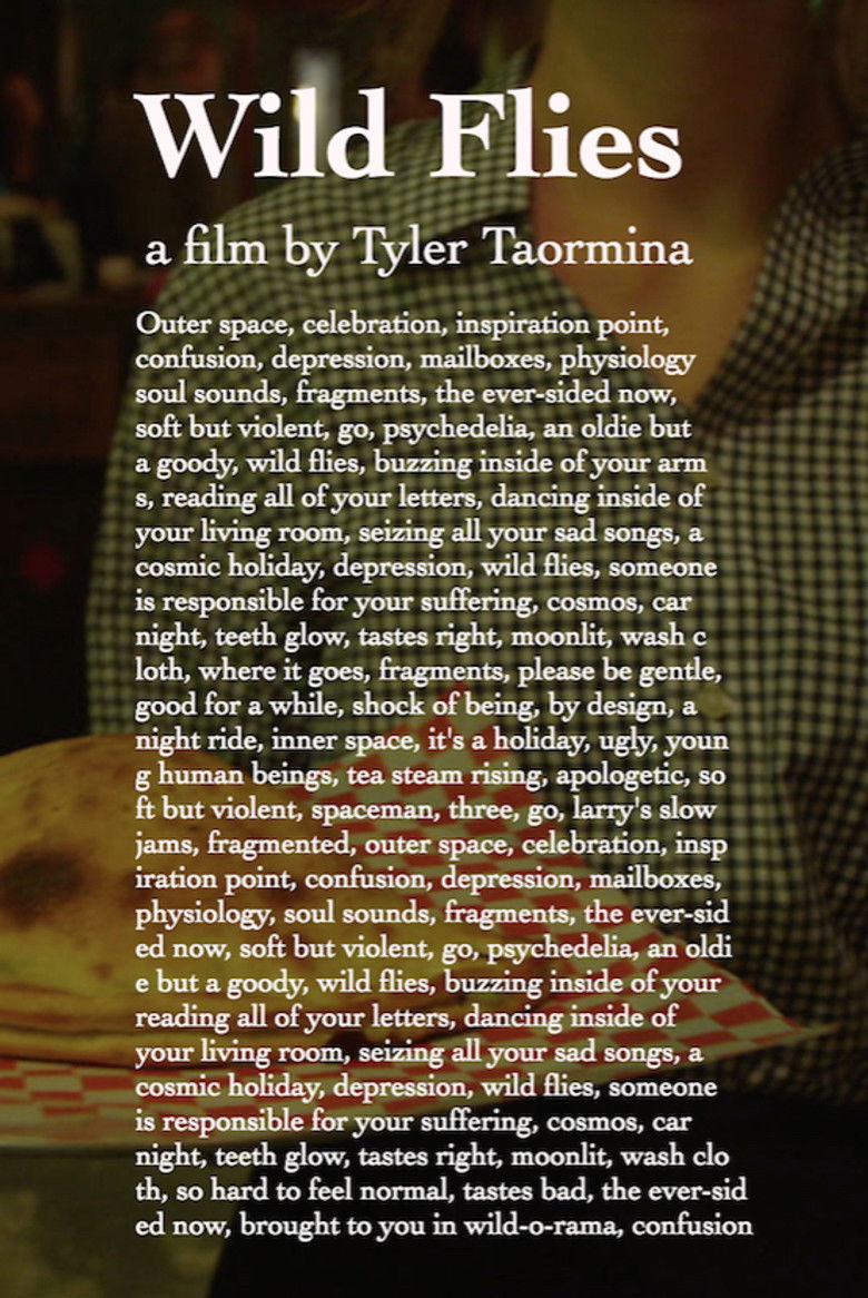 Imatge de Wild Flies