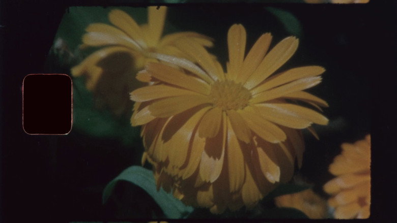 Movie Still