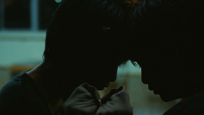 The Color of the Sun 2