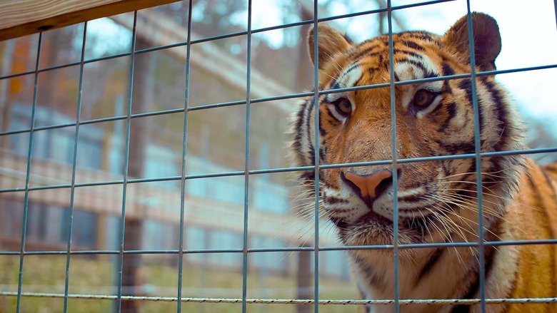 Gallery image from mETChBL63rJ0aQBlXzkWiMl22fR.jpg