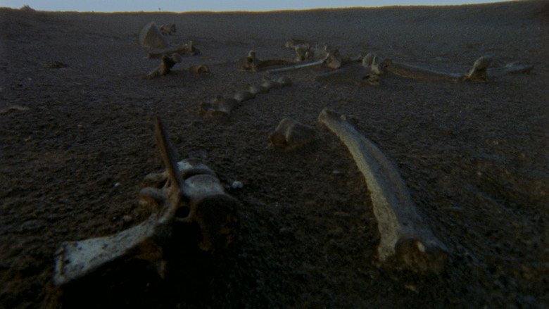 scenes 29