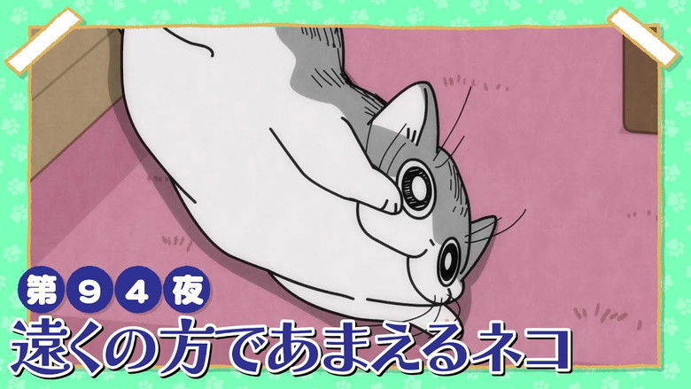 Still image for Nights with a Cat season 1 episode 94: Night 94: A Cat That Tries to Get Affection From Afar