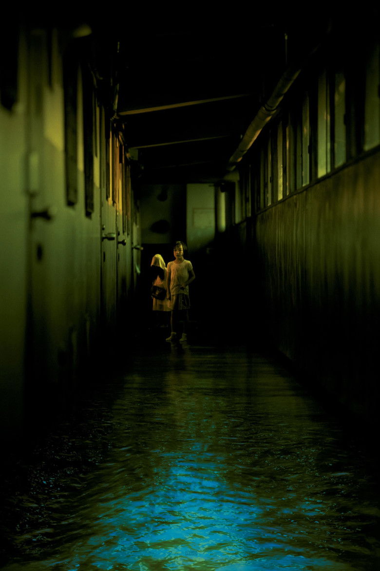 Imatge de Aigua fosca