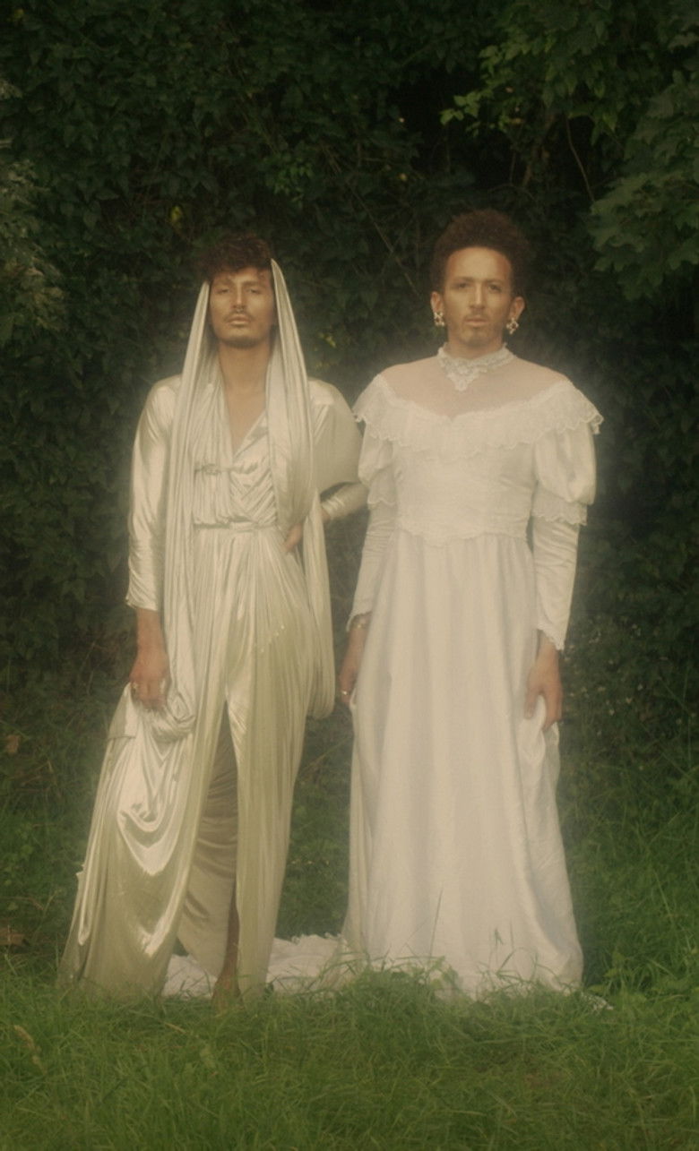 Imatge de Soleils bruns