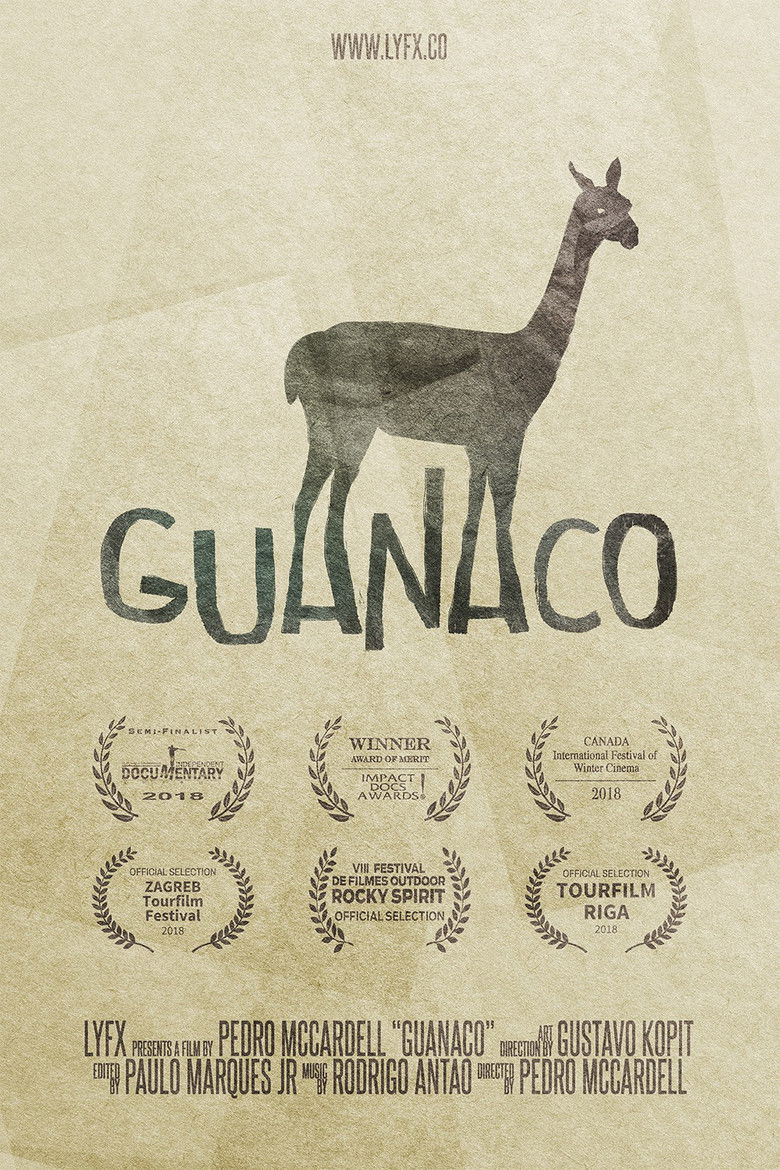 Imatge de Guanaco