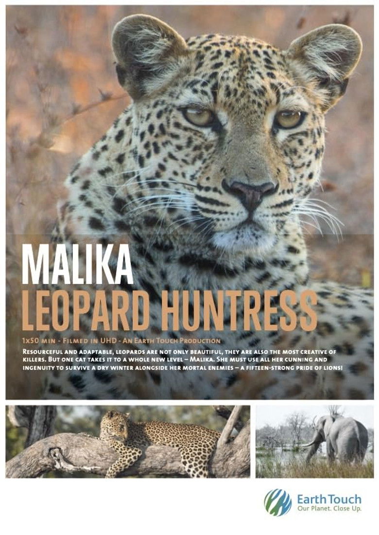 Imatge de Leopard Huntress