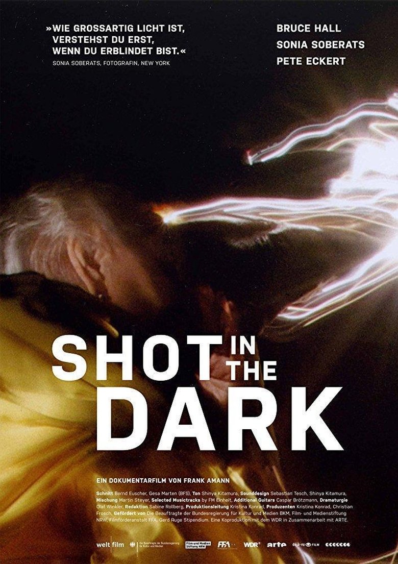 Shot in the Dark poster