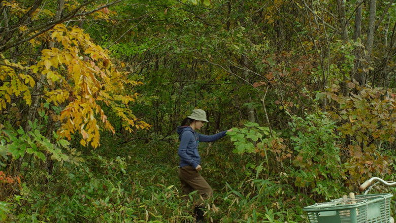 Image d'arrière-plan 10 du film Little Forest: Summer/Autumn
