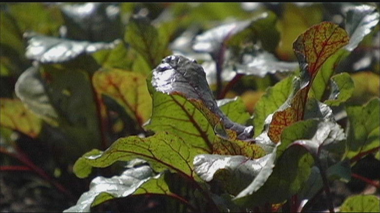 Still image for Wisconsin Foodie season 1 episode 2: LotFotl | Beans & Barley Still image for Wisconsin Foodie season 1 episode 2: LotFotl | Beans & Barley