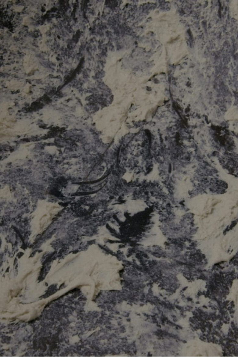 Imatge de Linger on Some Pale Blue Dot