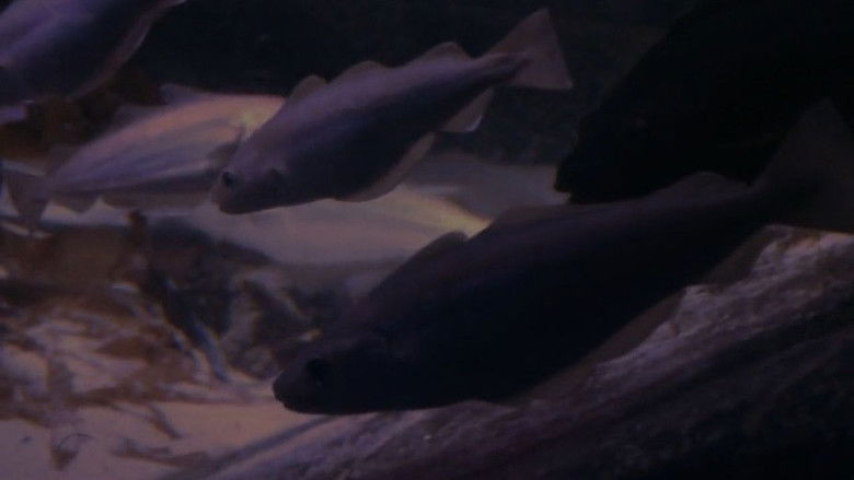 Gallery image from mJmWmE4QM4gLUs2IgpqVVJtht3h.jpg