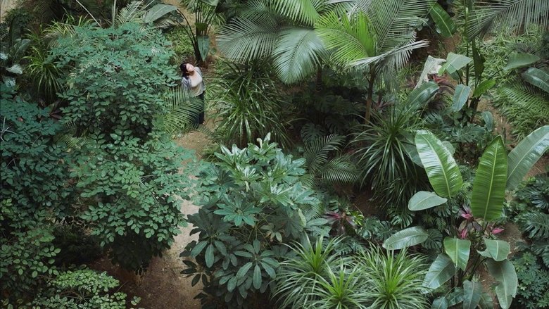 Gallery image from mJvFQcPIRRr1NDgEfxZh3AWTQ9e.jpg