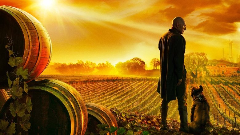 Star Trek Picard (2022) Hindi Dubbed Season 2