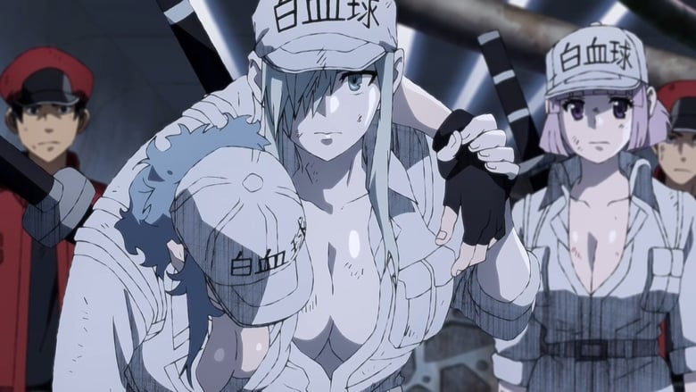 Assistir Hataraku Saibou Todos os Episódios Online - Animes BR